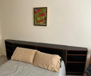 Microcentro micro f10